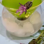 Margherita Appart hôtel