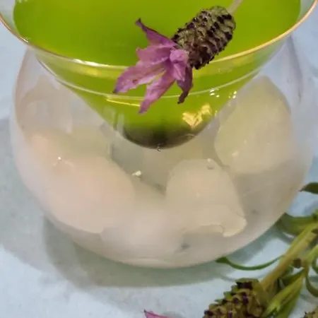 Margherita Aparthotel